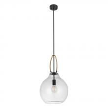 Eglo Canada - Trend 205844A - Roding 1L Suspension