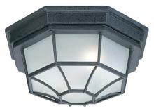 Capital Canada 9800BK - 2 Light Outdoor Flush Mount