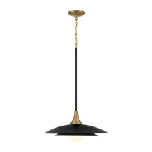 Eurofase 46441-041 - Welsh 1 Light Pendant in Black