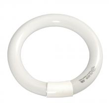 Galaxy Lighting FCL-22CW - Fluorescent Circular Tube