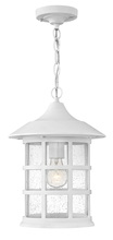 Hinkley Canada 1802CW - Medium Hanging Lantern