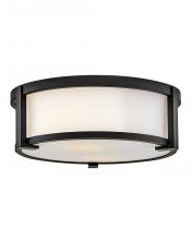 Hinkley Canada 28963BK - Small Flush Mount