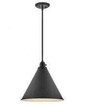 Hinkley Canada 3694BK - Medium Pendant