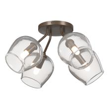 Hubbardton Forge - Canada 121370-SKT-05-ZM0709 - Ume 4-Light Semi-Flush