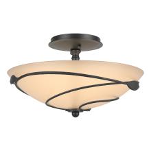 Hubbardton Forge - Canada 126712-SKT-10-SS0048 - Forged Leaves Semi-Flush