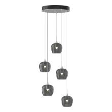 Hubbardton Forge - Canada 131123-SKT-STND-82-YL0709 - Ume 5-Light Pendant