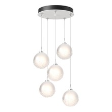 Hubbardton Forge - Canada 131131-SKT-STND-02-FD0750 - Fritz Globe 5-Light Pendant