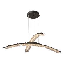 Hubbardton Forge - Canada 137587-LED-STND-14-ZM0749 - Glissade Double Large LED Pendant