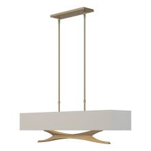 Hubbardton Forge - Canada 137655-SKT-STND-84-SJ4298 - Moreau Pendant