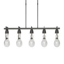 Hubbardton Forge - Canada 137810-SKT-LONG-20-ZM0572 - Apothecary Pendant