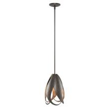 Hubbardton Forge - Canada 188770-SKT-MULT-14 - Pental Mini Pendant