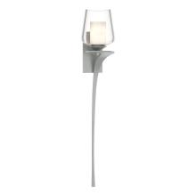 Hubbardton Forge - Canada 204712-SKT-RGT-82-ZU0291 - Antasia Double Glass 1 Light Sconce