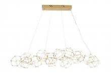 Bethel International Canada BE33C66G - LED Chandelier Stainless Steel